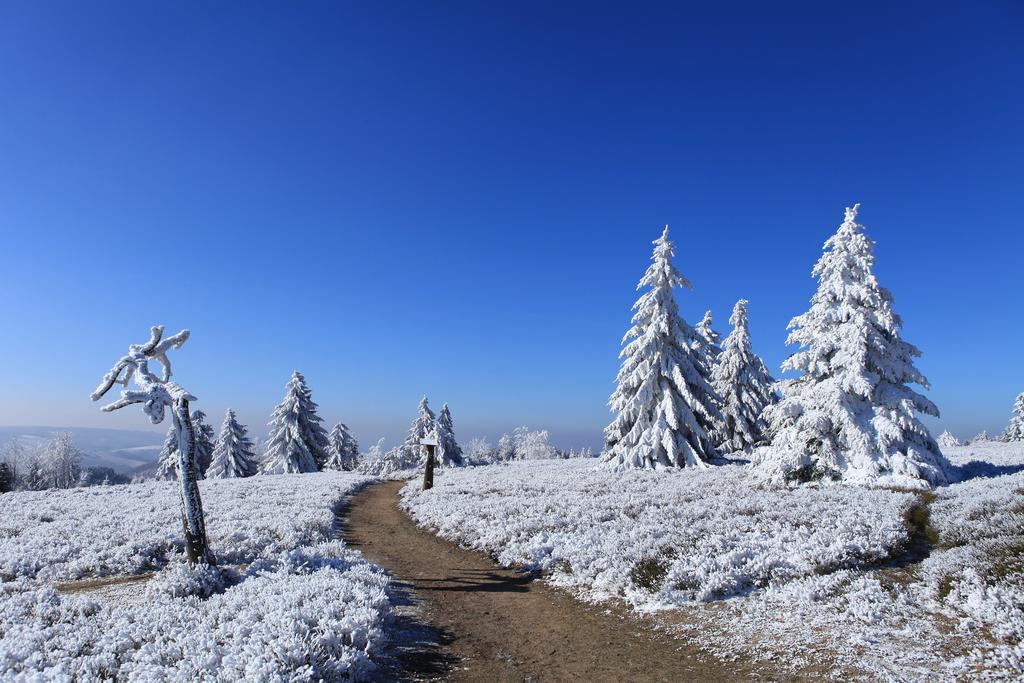 Hapimag Ferienwohnungen Winterberg Exterior photo